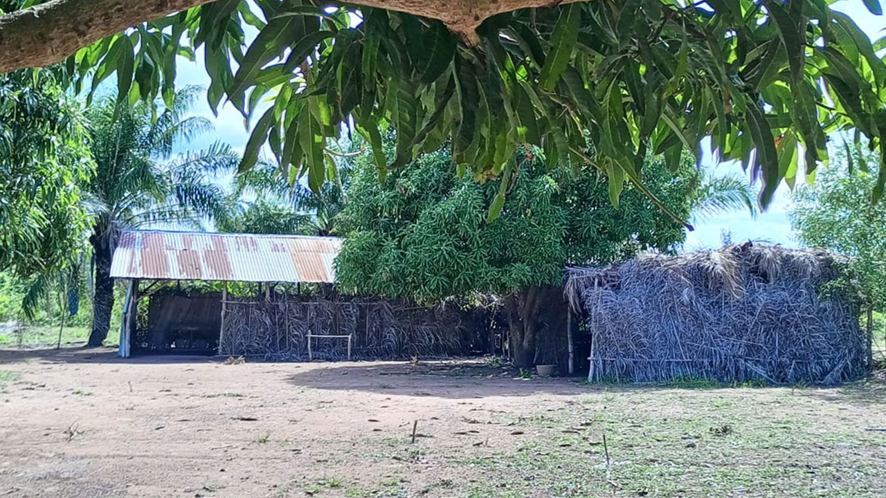 EPP-Mamoude_01